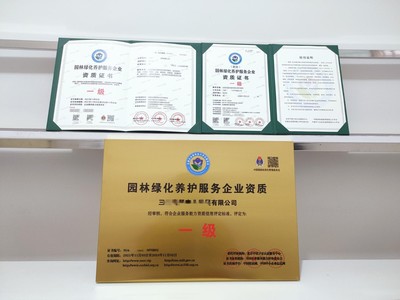 上海市企業一站式代辦服務 營業執照、務代碼證、財務咨詢與代理記賬全解析